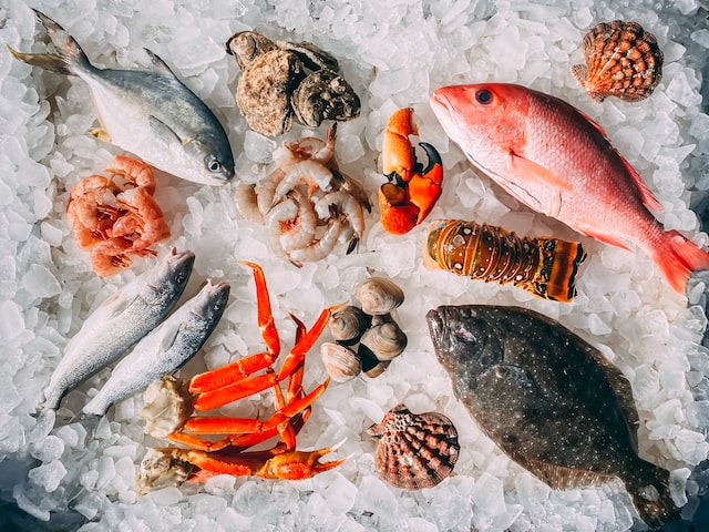 orange and white fish on white and bleck pebbles